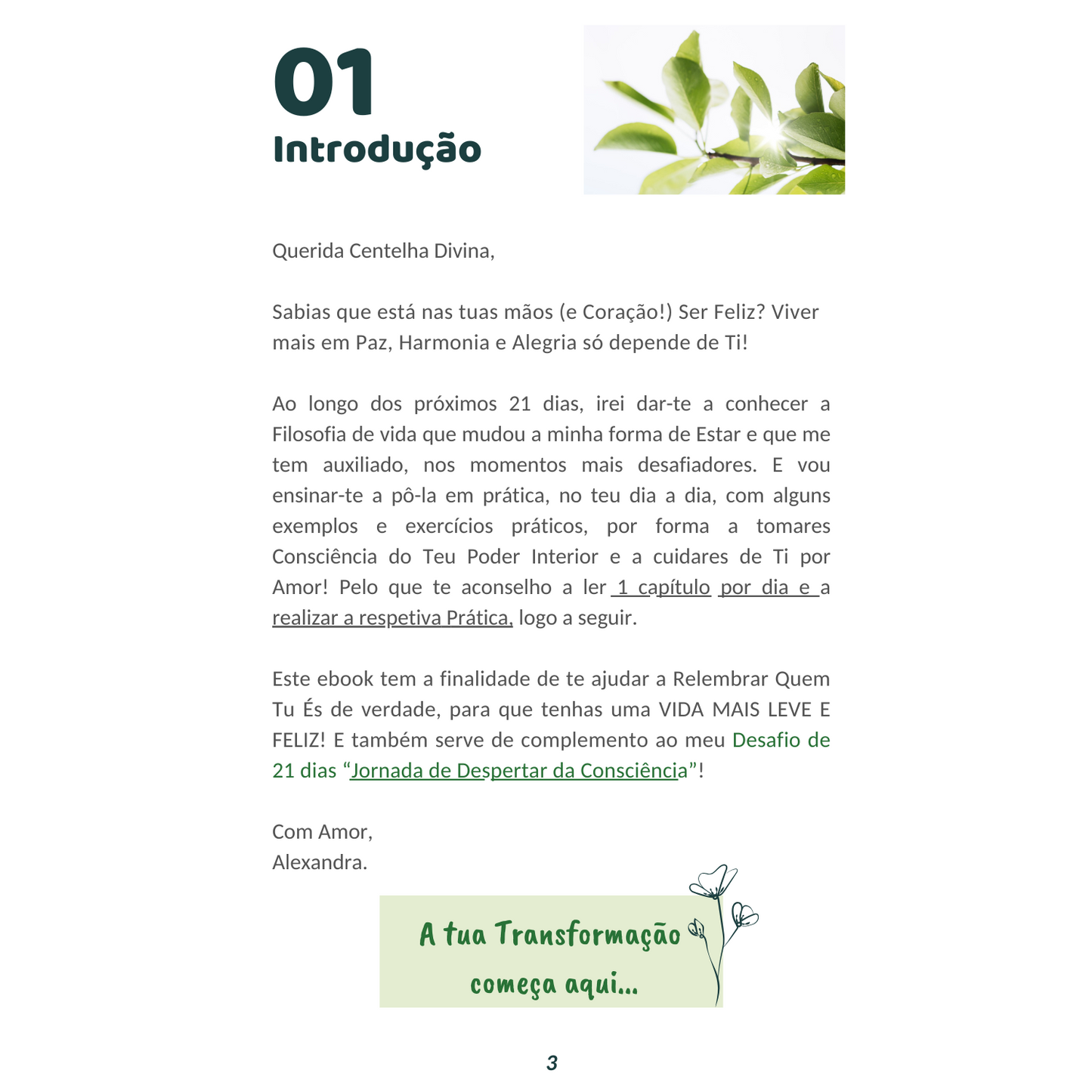 GUIA PRÁTICO 21 DIAS VIDA MAIS LEVE E FELIZ